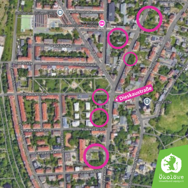 Übersicht Brachenrodungen entlang der Dieskaustraße