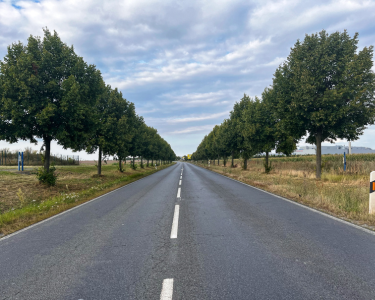 Kein Ausbau der Radefelder Allee