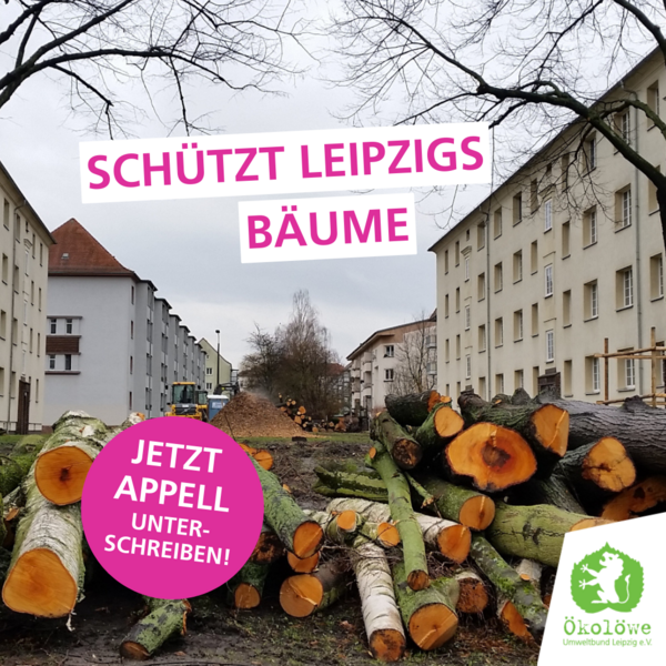 Schützt Leipzigs Bäume