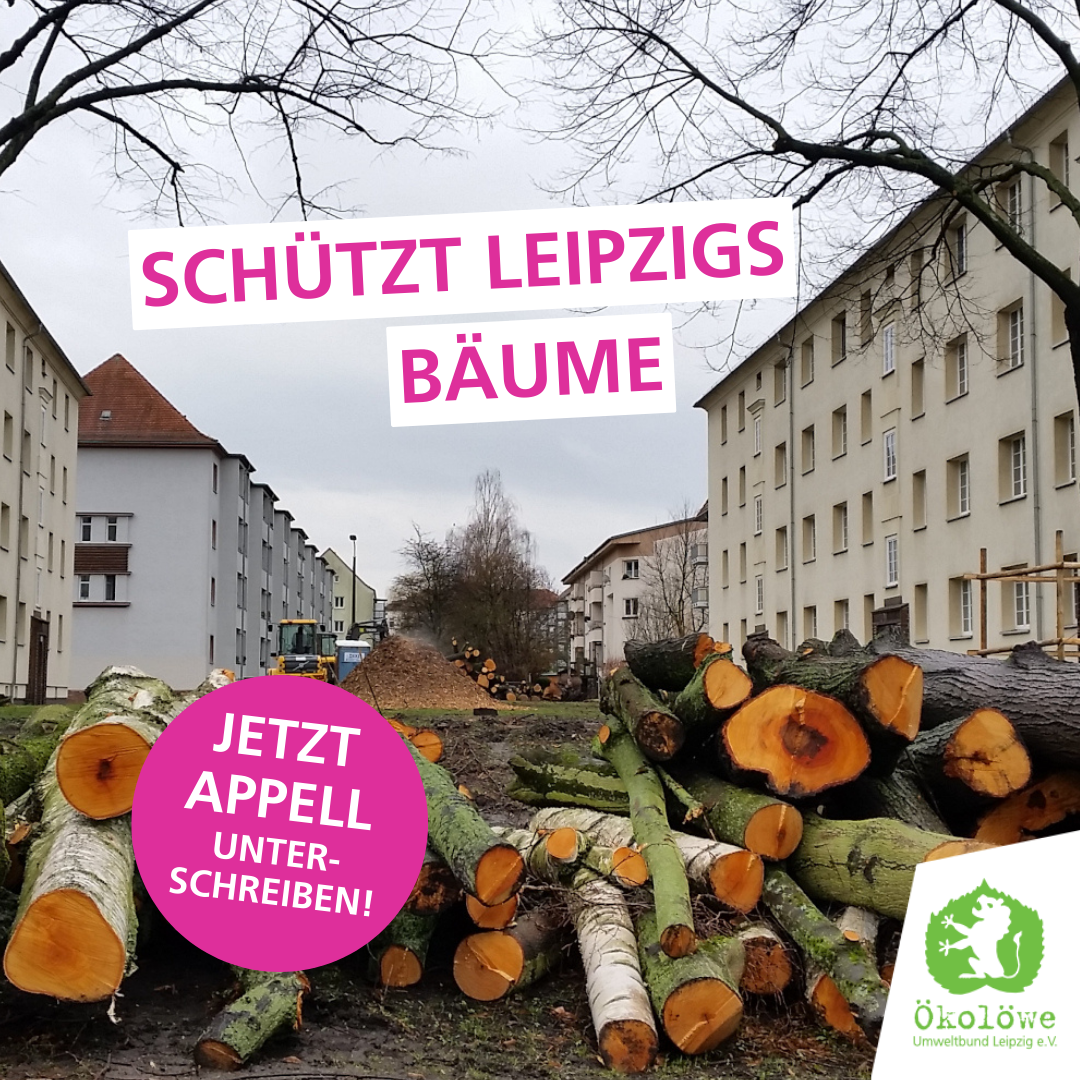 Leipzigs Bäume retten