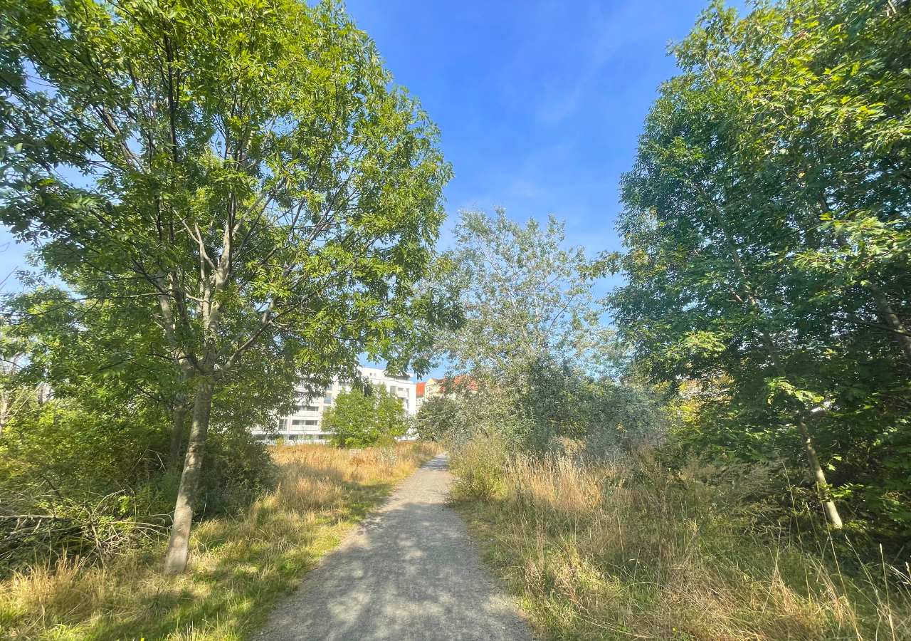 Grünfläche Gerichtsweg/Täubchenweg in Reudnitz