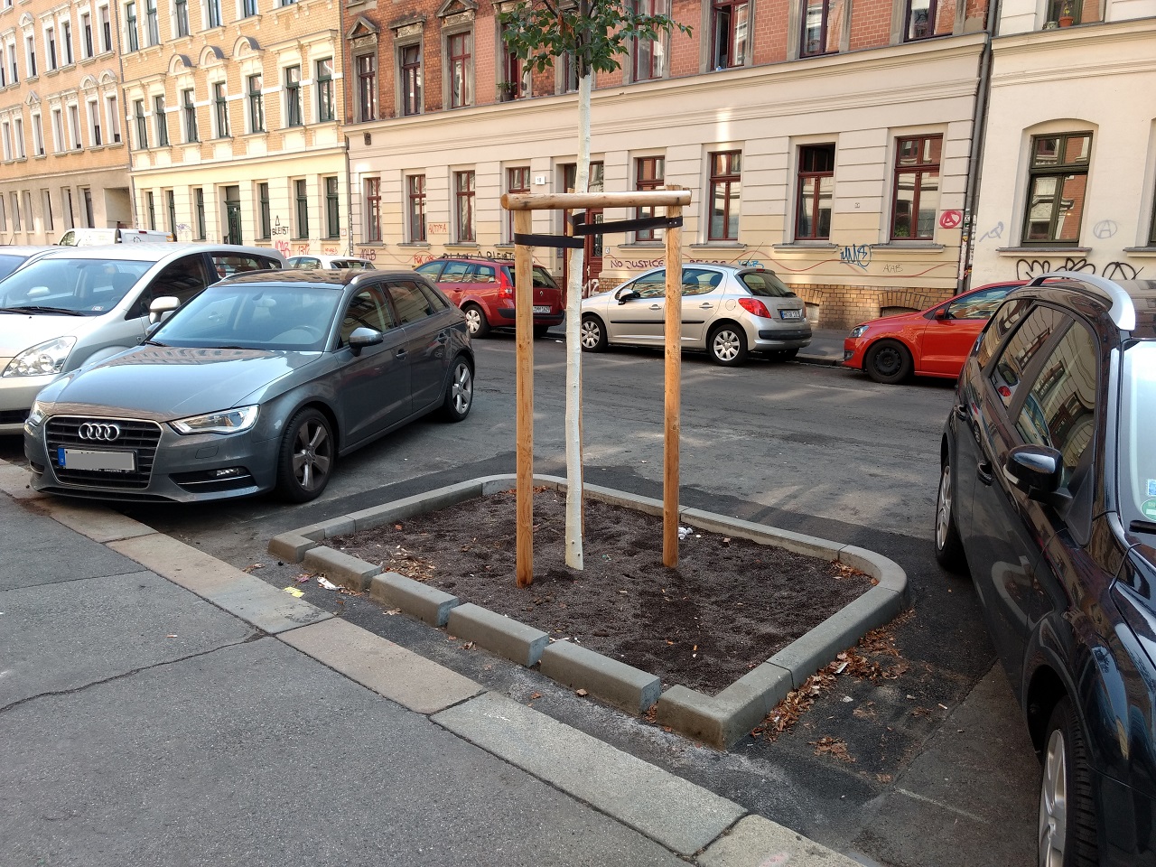 Baumpflanzung nach dem Zwickauer Modell in der Pfeffingerstraße
