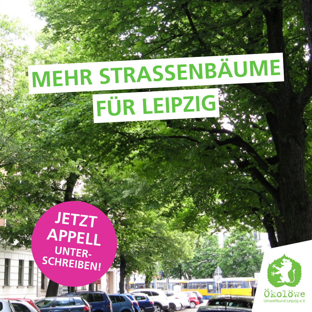 Mehr Straßen­bäume für Leipzig